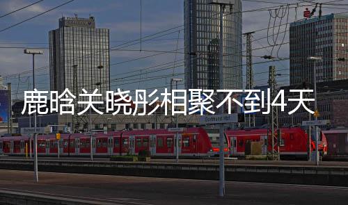 聚不到4彤相天就晗关关晓晓彤现状分别鹿晗 鹿恋情